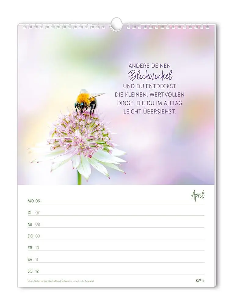 Bild: 9783986361846 | Wochenkalender klein 2026 Zeit für dich | Wochenkalender | Original