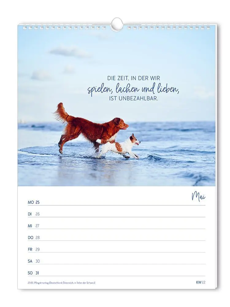 Bild: 9783986361846 | Wochenkalender klein 2026 Zeit für dich | Wochenkalender | Original