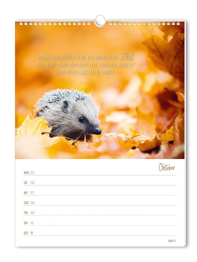 Bild: 9783986361846 | Wochenkalender klein 2026 Zeit für dich | Wochenkalender | Original