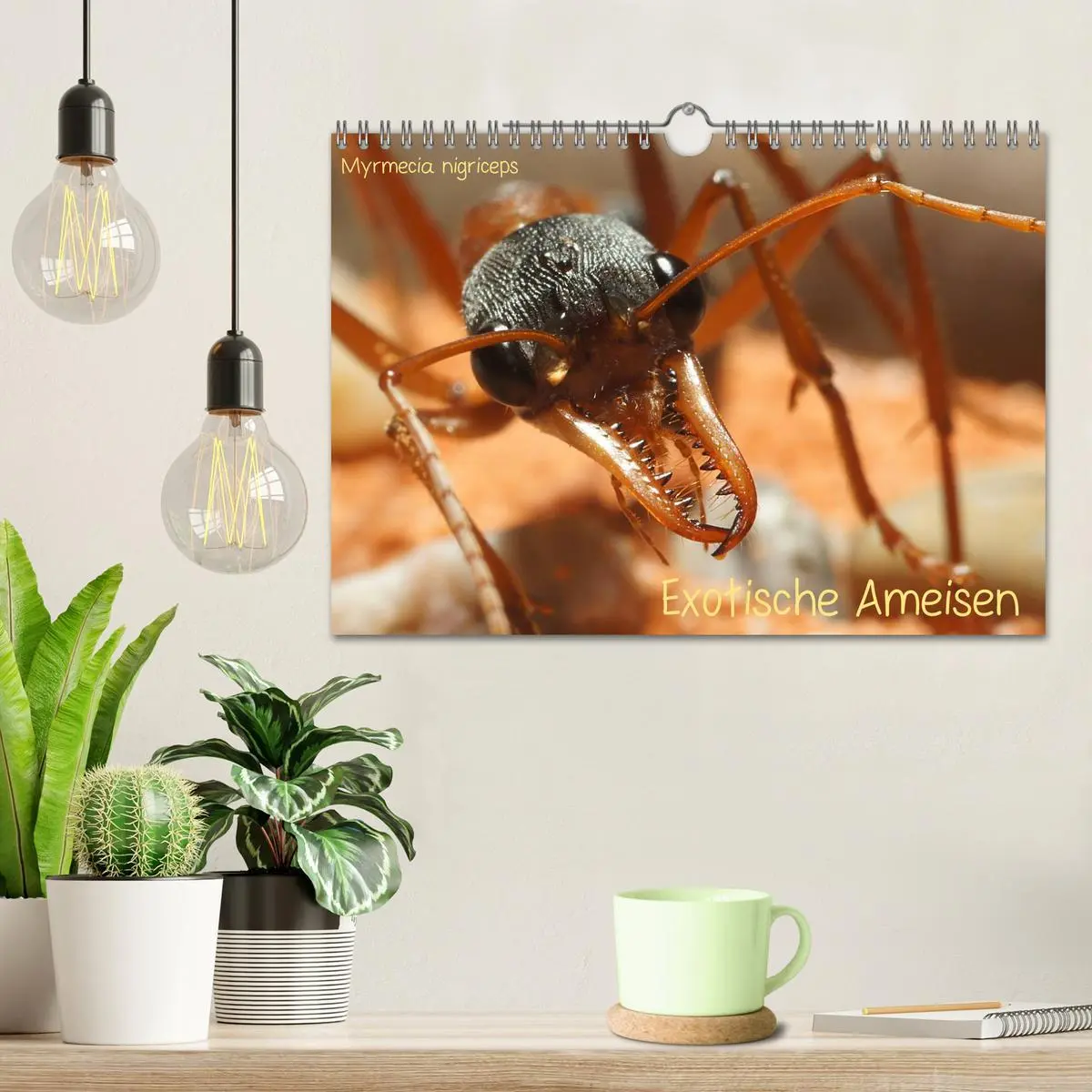 Bild: 9783516161946 | Exotische Ameisen (Wandkalender 2026 DIN A4 quer), CALVENDO...