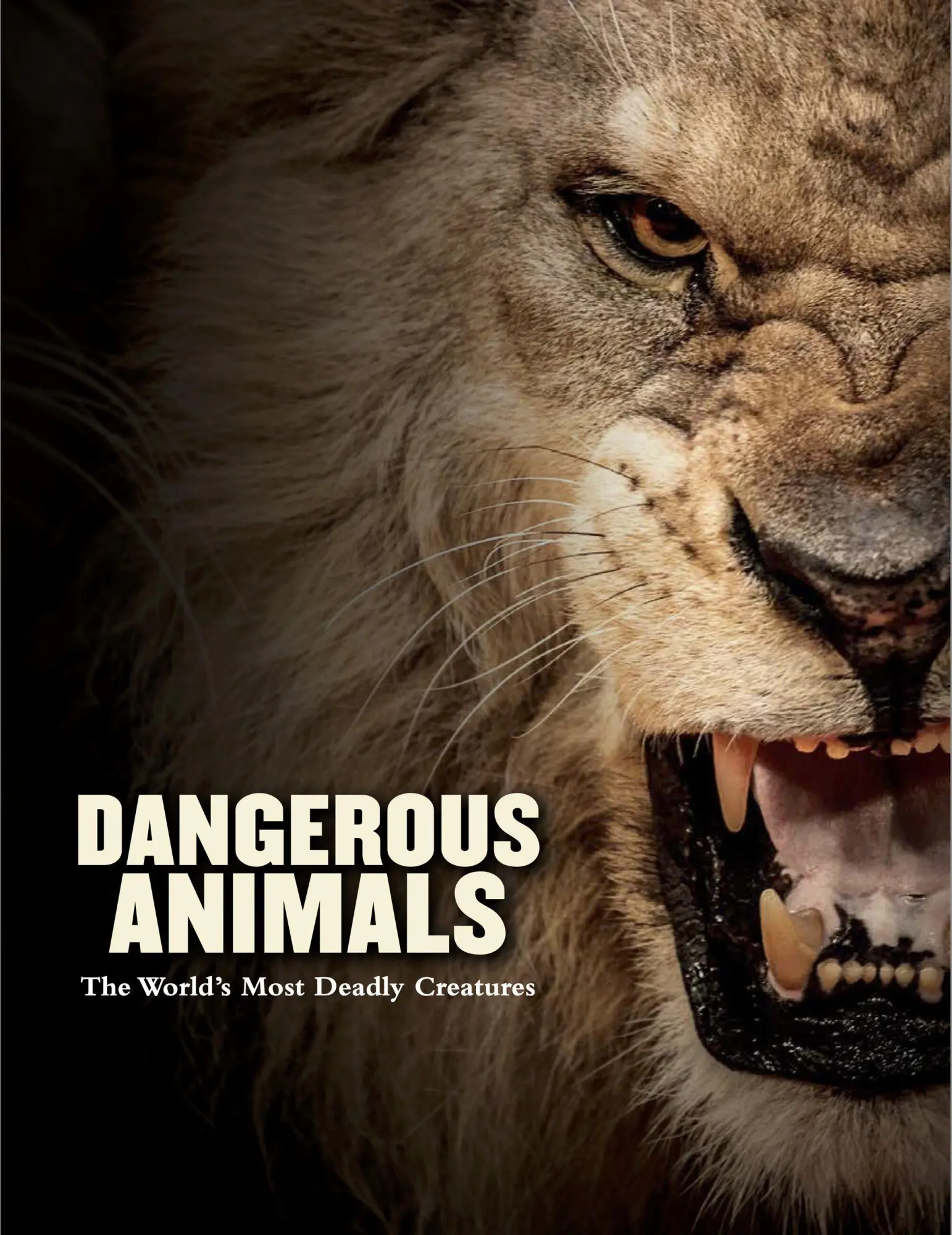 Cover: 9781838862046 | Dangerous Animals | Barry Madden | Buch | Animals in Photographs