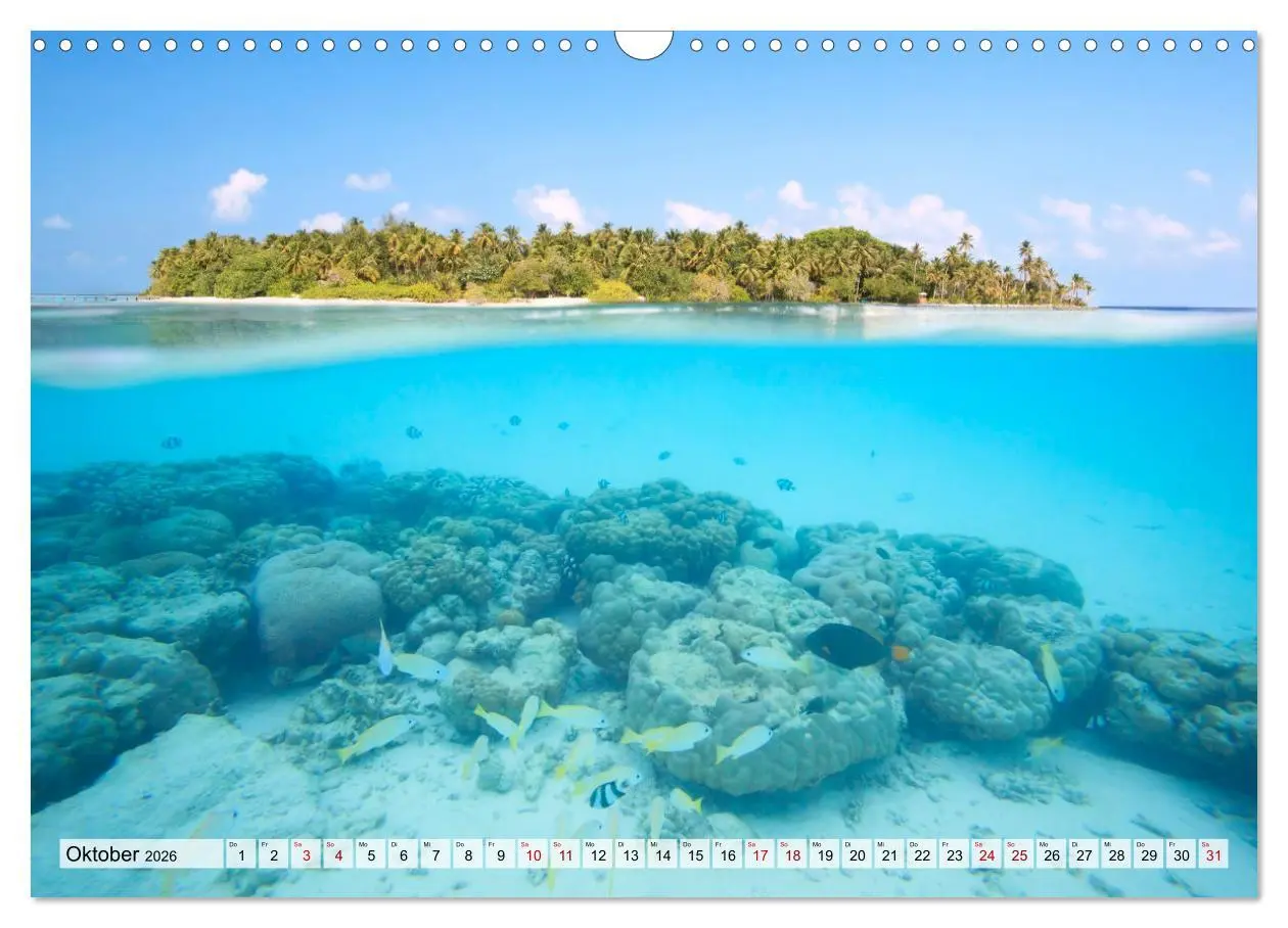 Bild: 9783457572146 | Malediven - Reise in ein Naturparadies (Wandkalender 2026 DIN A3...