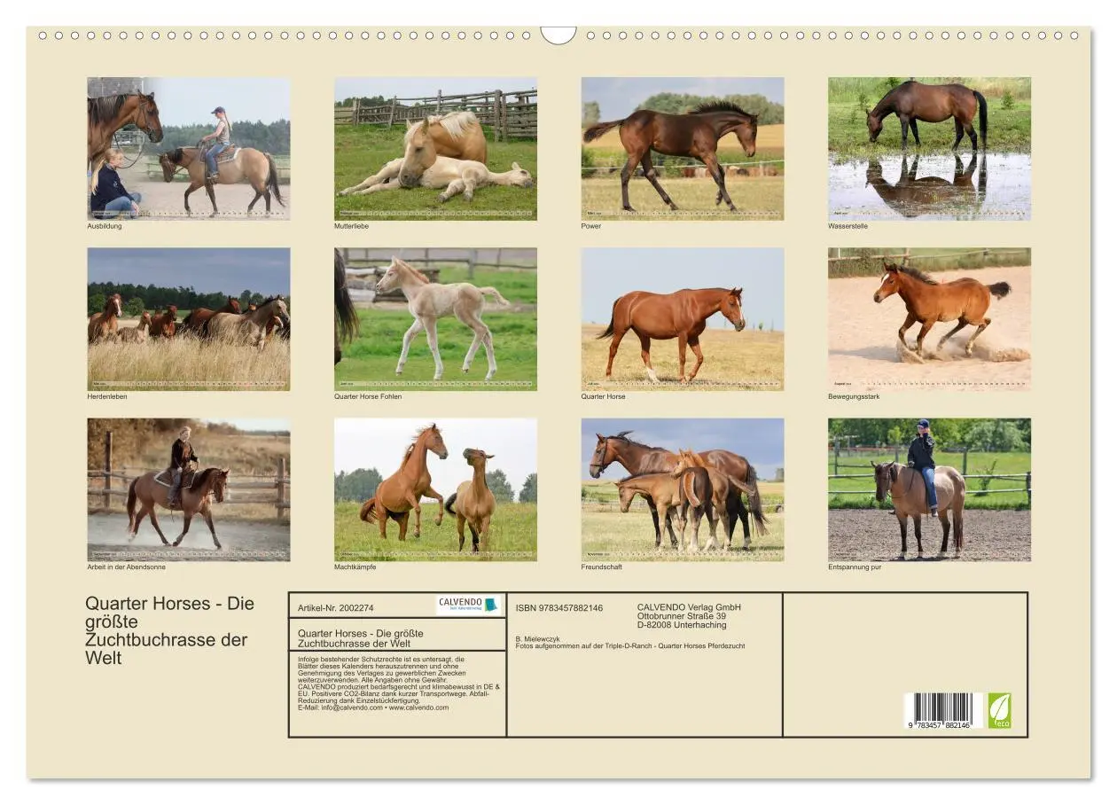 Bild: 9783457882146 | Quarter Horses - Die größte Zuchtbuchrasse der Welt (Wandkalender...