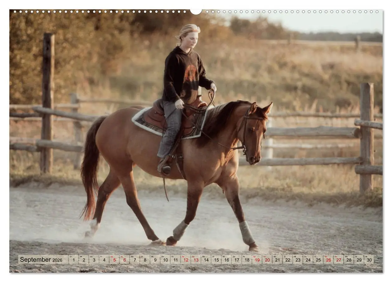 Bild: 9783457882146 | Quarter Horses - Die größte Zuchtbuchrasse der Welt (Wandkalender...