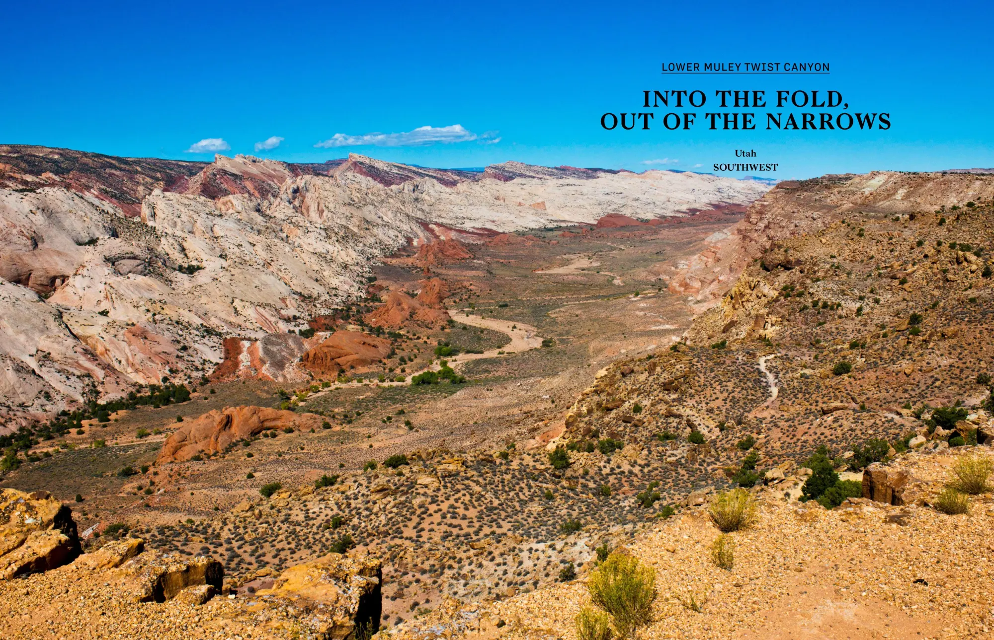 Bild: 9783967042146 | Wanderlust USA (Compact Edition) | The Great American Hike | Buch