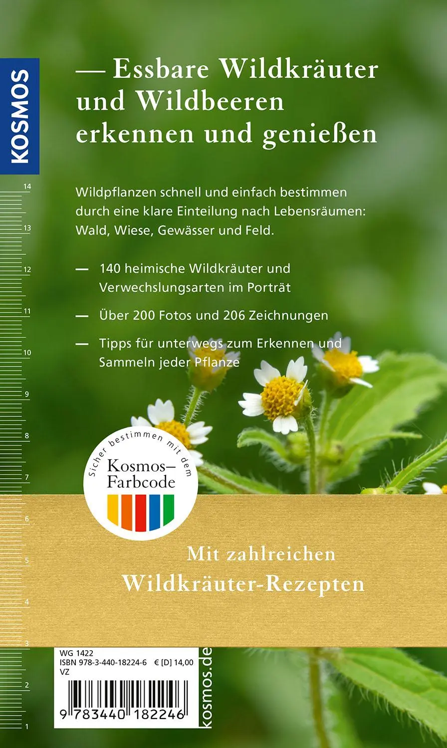 Bild: 9783440182246 | Essbare Wildkräuter und Wildbeeren für unterwegs | Rudi Beiser | Buch