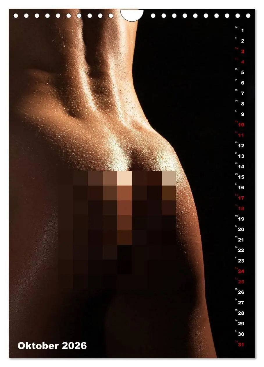 Bild: 9783516412246 | Andro~Po~sophisches (Wandkalender 2026 DIN A4 hoch), CALVENDO...