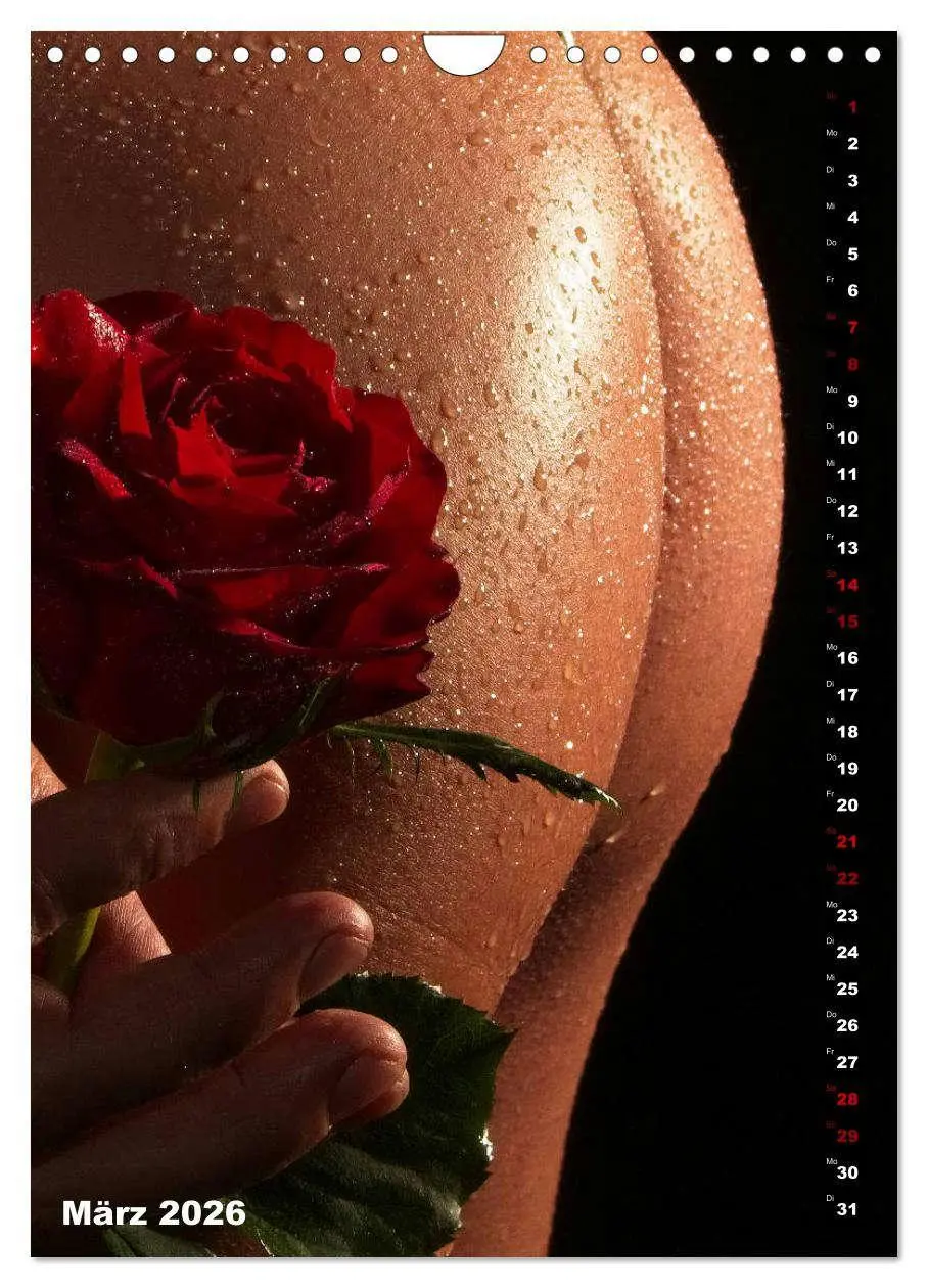 Bild: 9783516412246 | Andro~Po~sophisches (Wandkalender 2026 DIN A4 hoch), CALVENDO...