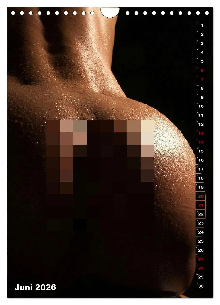 Bild: 9783516412246 | Andro~Po~sophisches (Wandkalender 2026 DIN A4 hoch), CALVENDO...