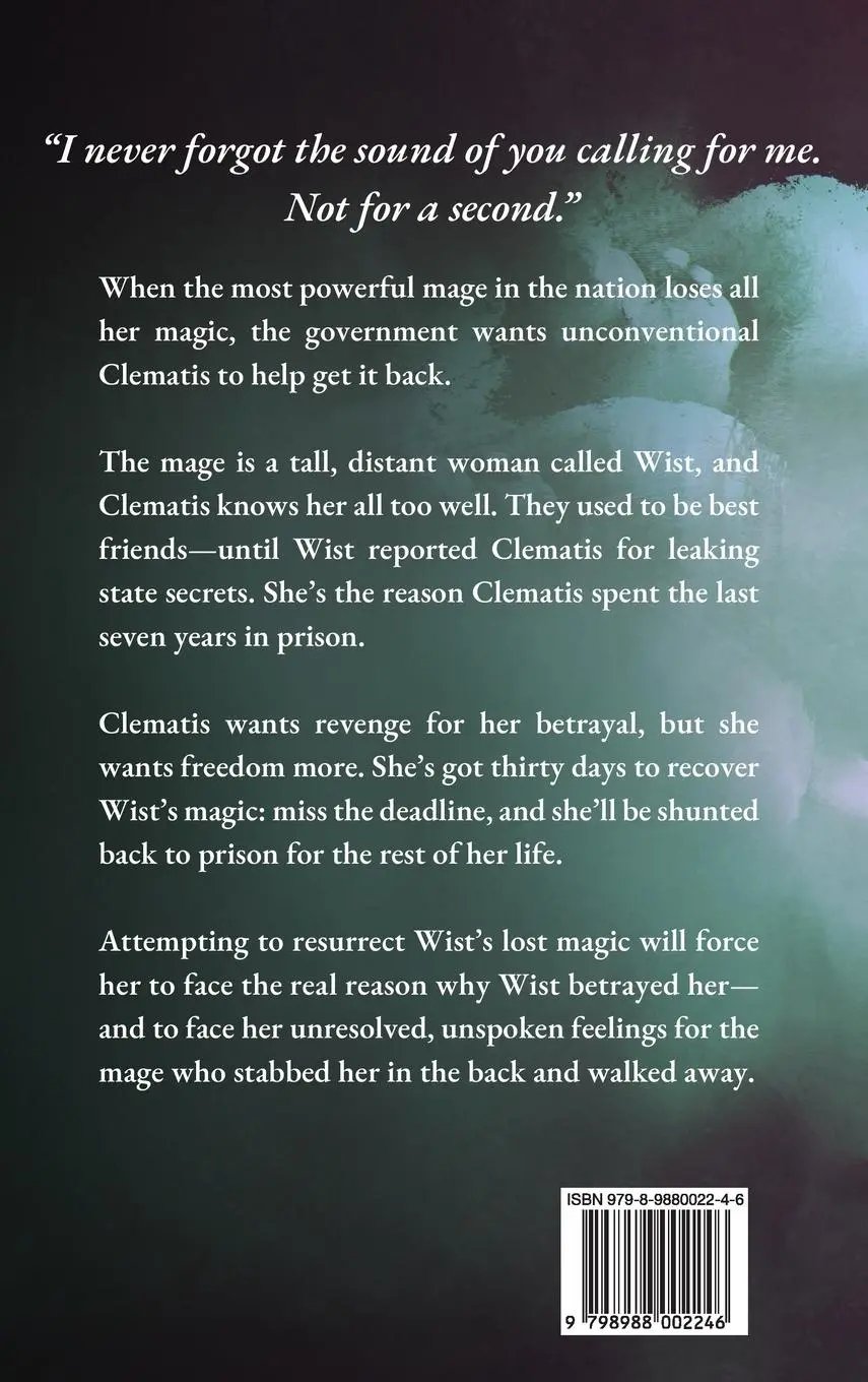 Rückseite: 9798988002246 | The Lowest Healer and the Highest Mage | An FF Fantasy Romance | Buch