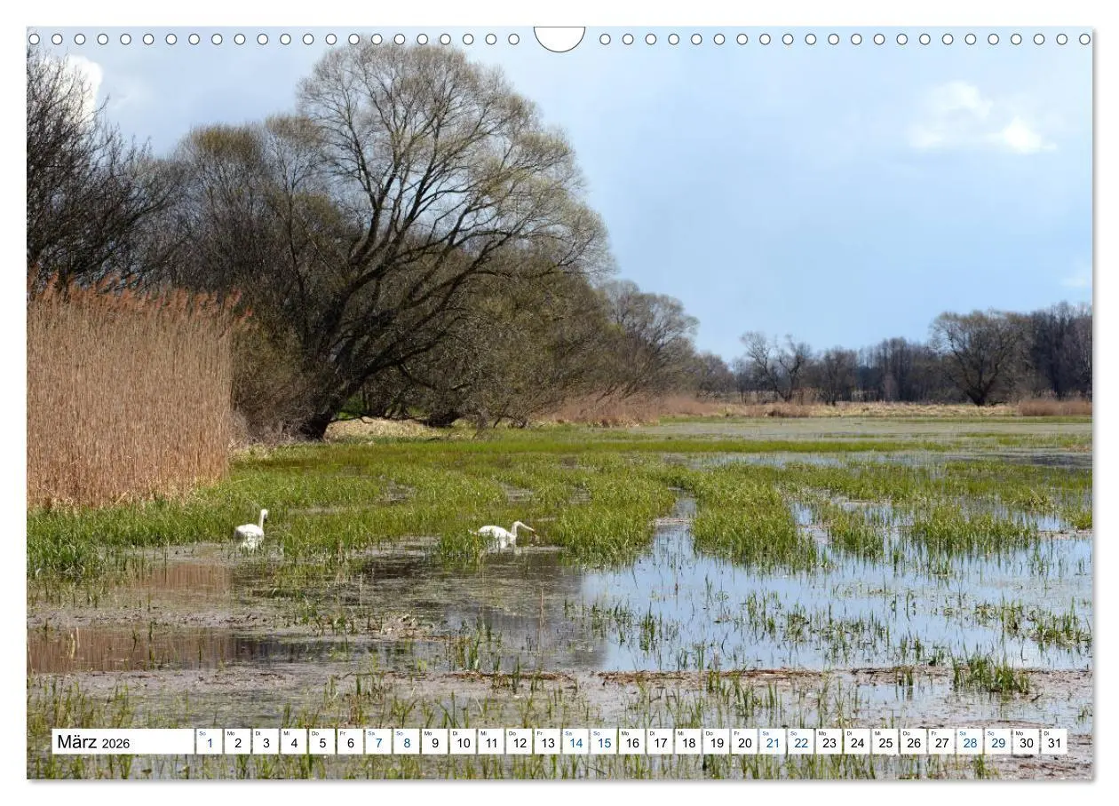 Bild: 9783457862346 | Land Brandenburg - Natur und Erholung im märkischen Land...