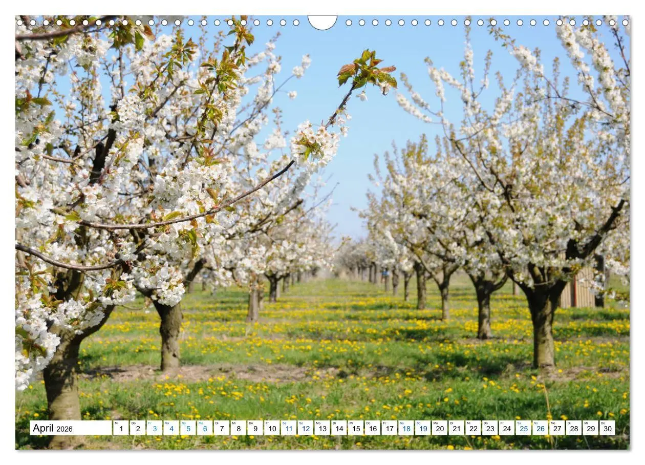 Bild: 9783457862346 | Land Brandenburg - Natur und Erholung im märkischen Land...