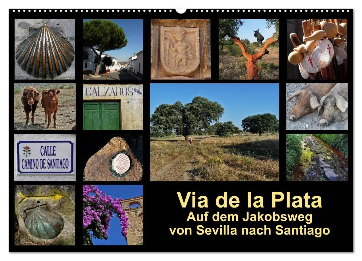 Cover: 9783516192346 | Via de la Plata - auf dem Jakobsweg von Sevilla nach Santiago...