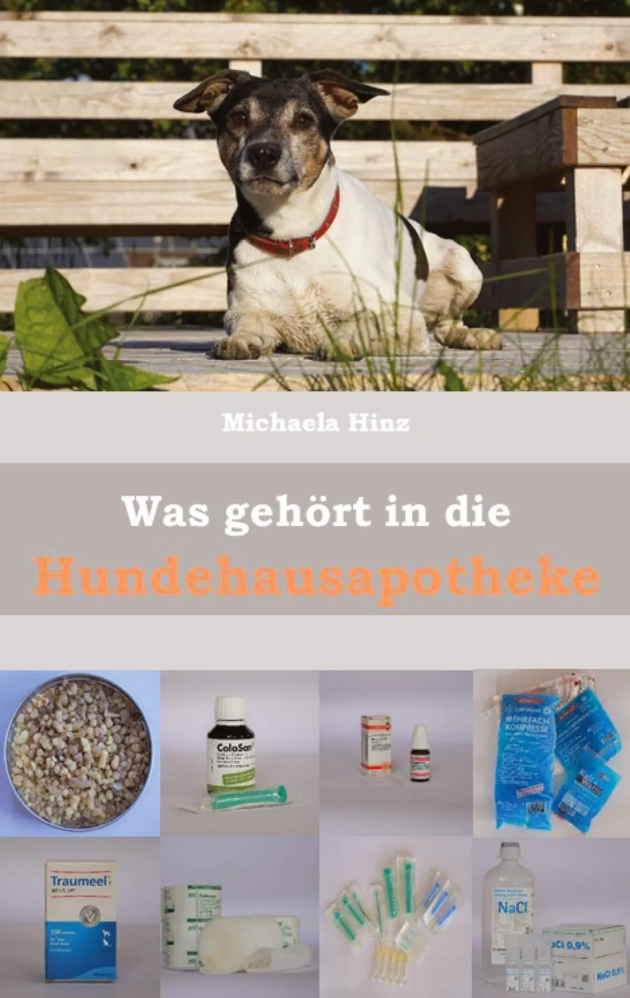 Cover: 9783347722446 | Was gehört in die Hundehausaportheke | Erste Hilfe für den Hund | Hinz