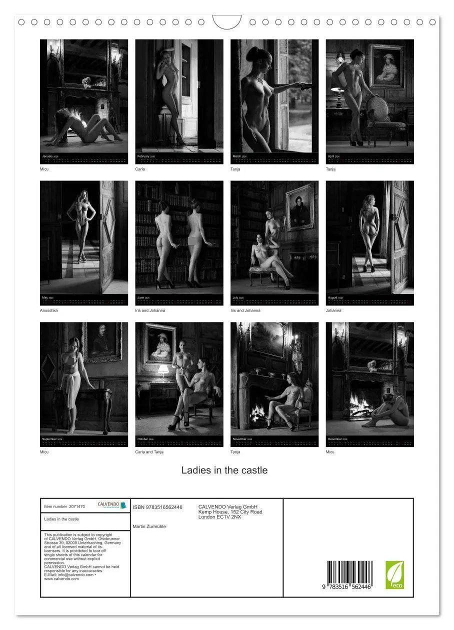Bild: 9783516562446 | Ladies in the castle (Wall Calendar 2026 DIN A3 portrait), CALVENDO...
