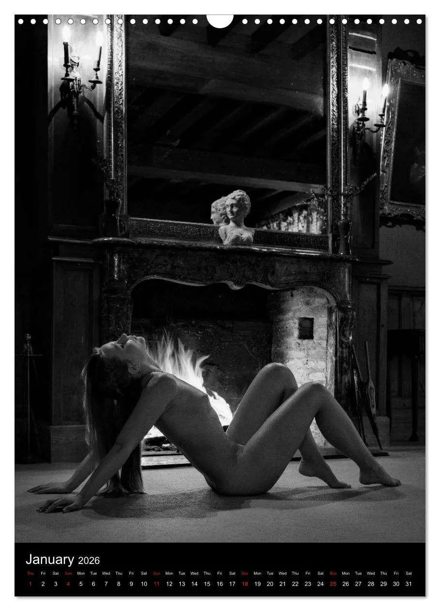 Bild: 9783516562446 | Ladies in the castle (Wall Calendar 2026 DIN A3 portrait), CALVENDO...