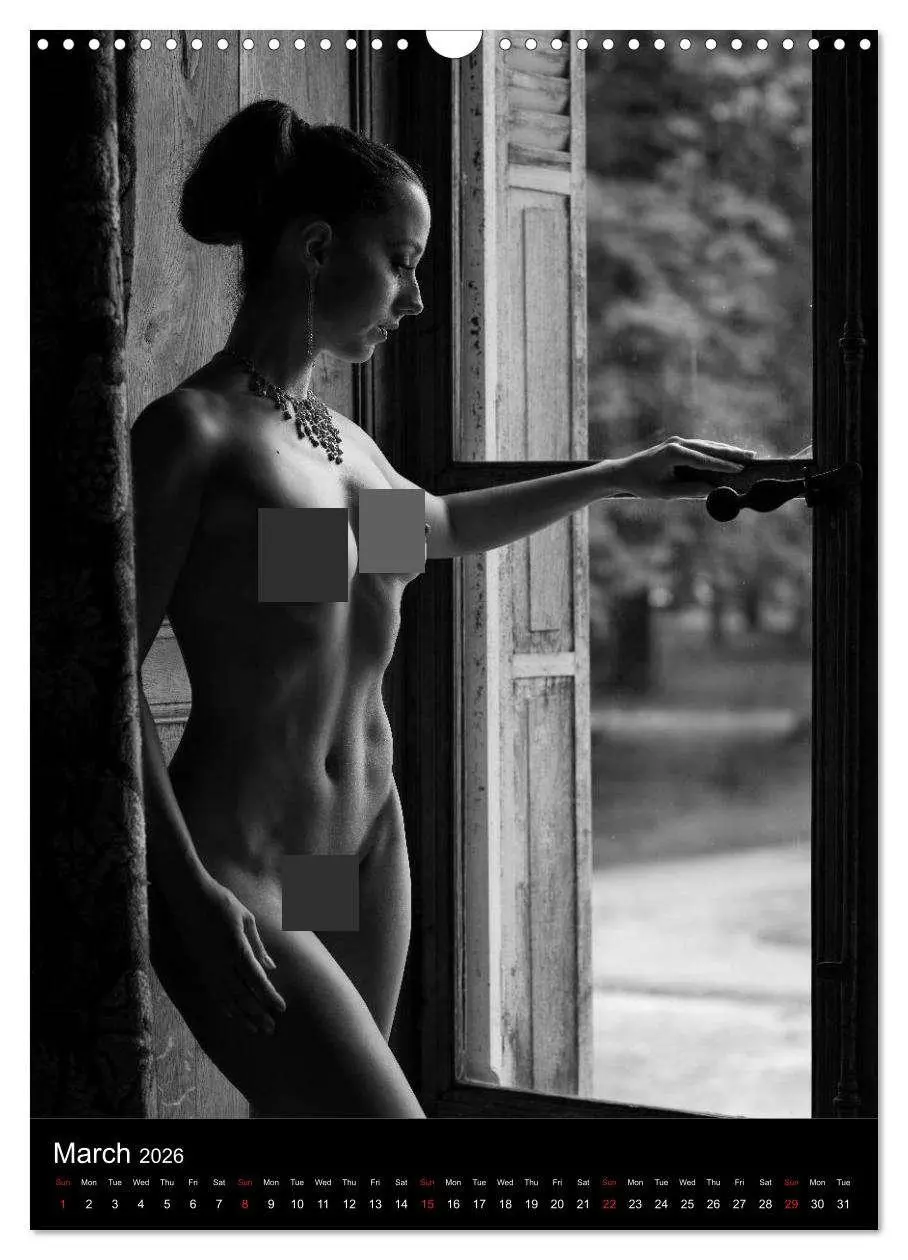 Bild: 9783516562446 | Ladies in the castle (Wall Calendar 2026 DIN A3 portrait), CALVENDO...