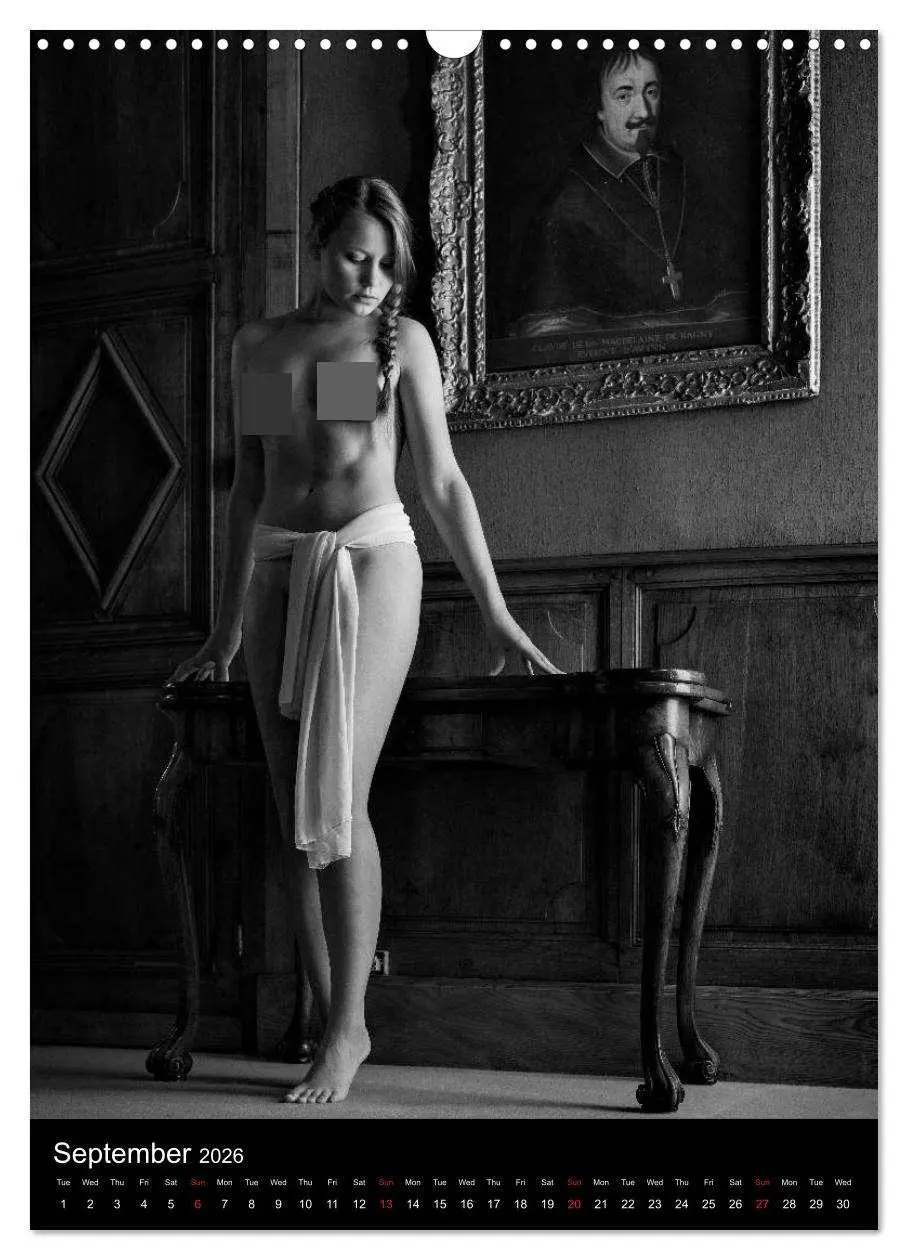 Bild: 9783516562446 | Ladies in the castle (Wall Calendar 2026 DIN A3 portrait), CALVENDO...