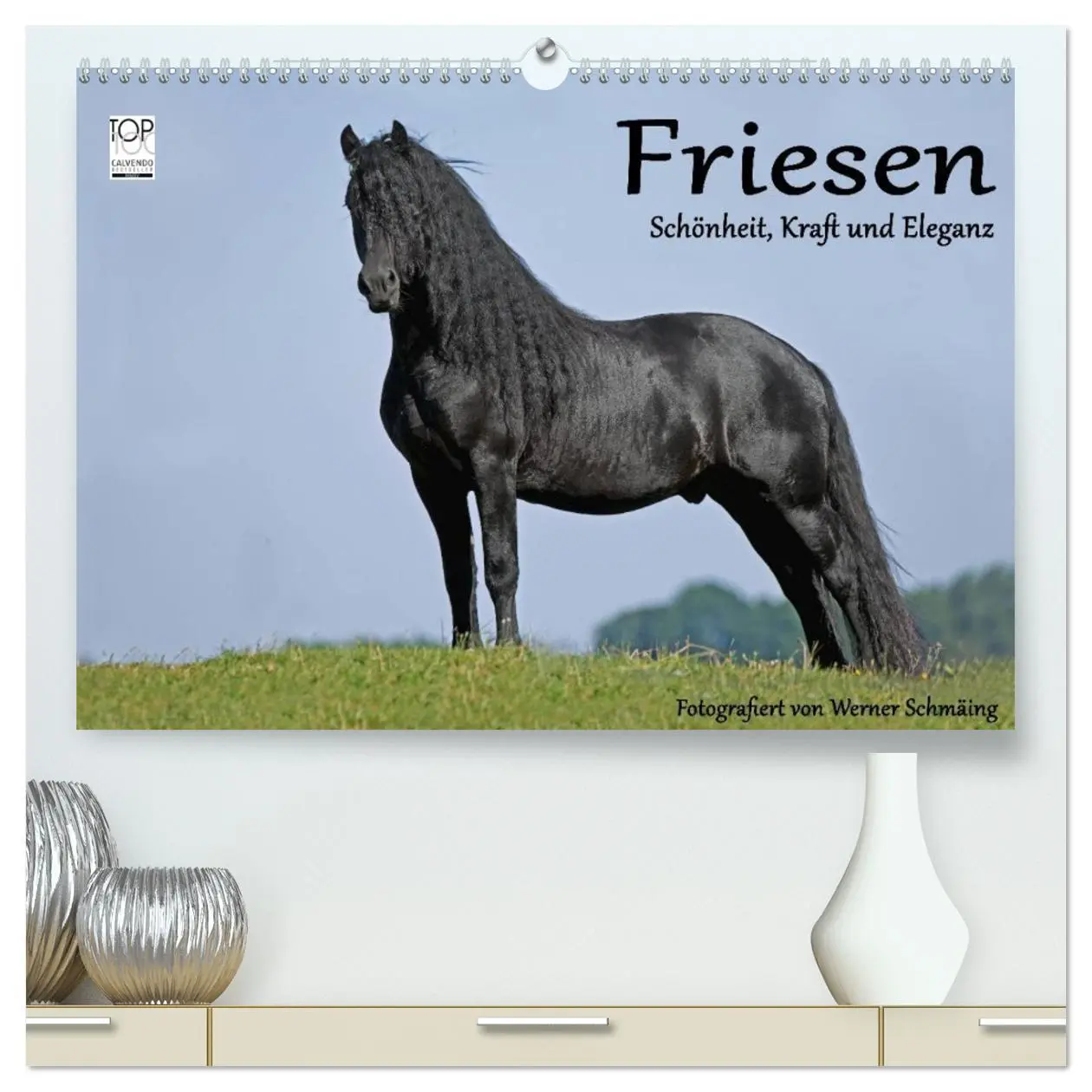 Cover: 9783516002546 | Friesen - Schönheit, Kraft und Eleganz (hochwertiger Premium...