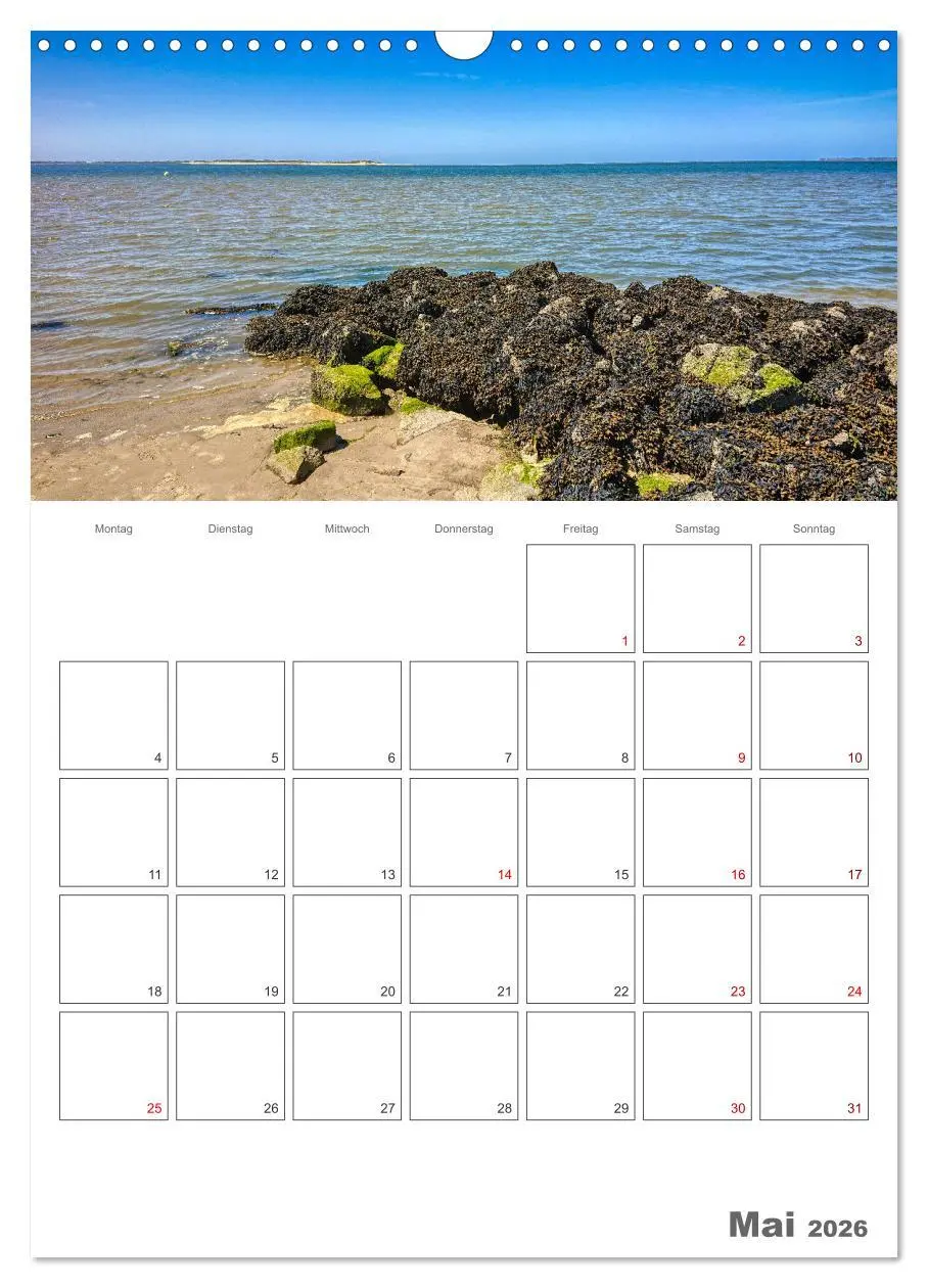 Bild: 9783516242546 | Föhr ... verliebt in die Insel (Wandkalender 2026 DIN A3 hoch),...