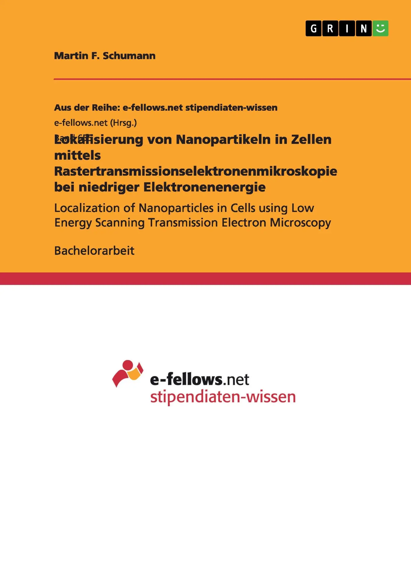 Lokalisierung von Nanopartikeln in Zellen mittels Rastertransmissionselektronenmikroskopie bei niedriger Elektronenenergie