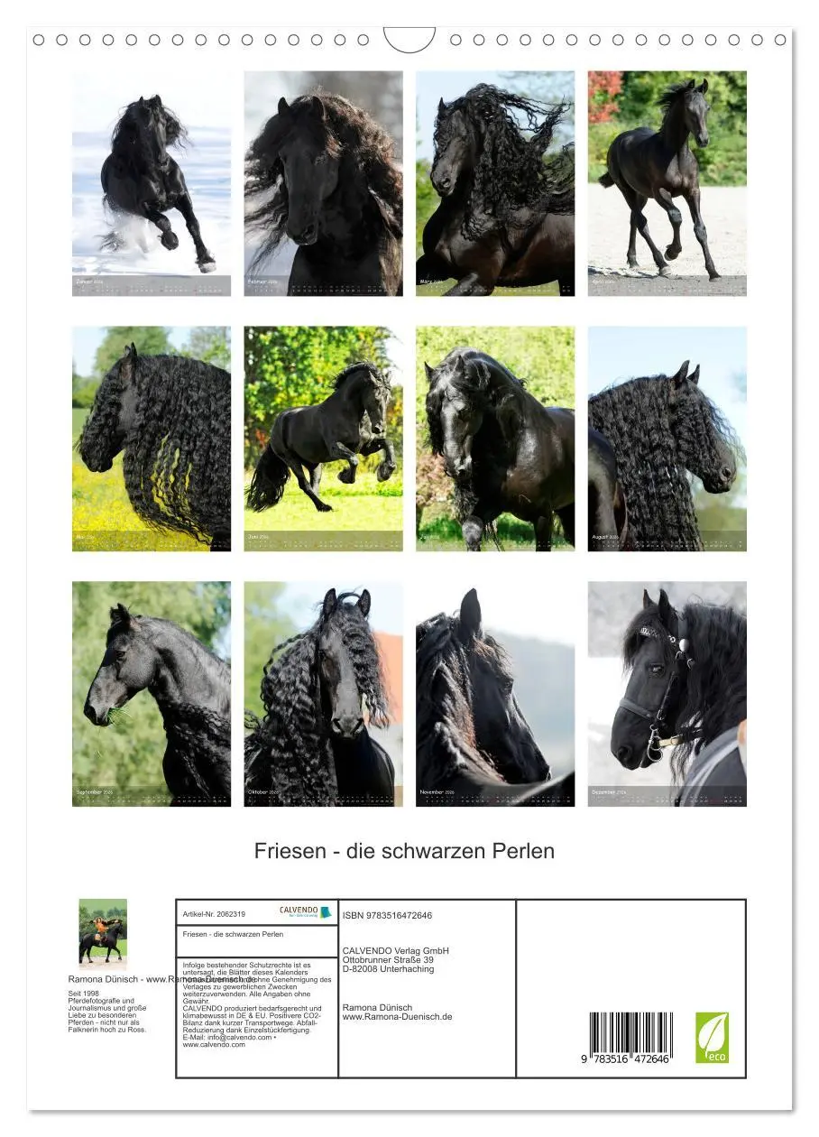 Bild: 9783516472646 | Friesen - die schwarzen Perlen (Wandkalender 2026 DIN A3 hoch),...