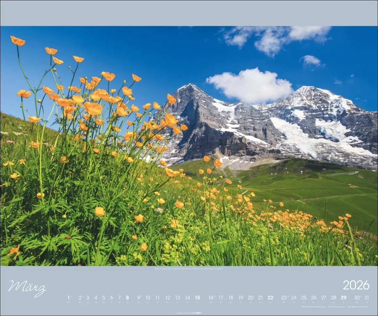 Bild: 9783839902646 | Alpen im Licht Kalender 2026 | Kalender | Spiralbindung | 14 S. | 2026