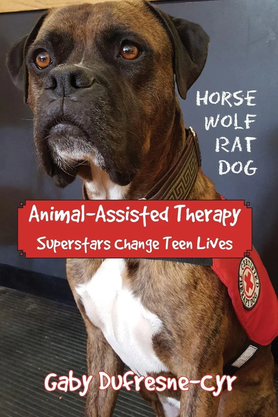 Cover: 9781775292746 | Animal-Assisted Therapy | Superstars change teen lives | Dufresne-Cyr