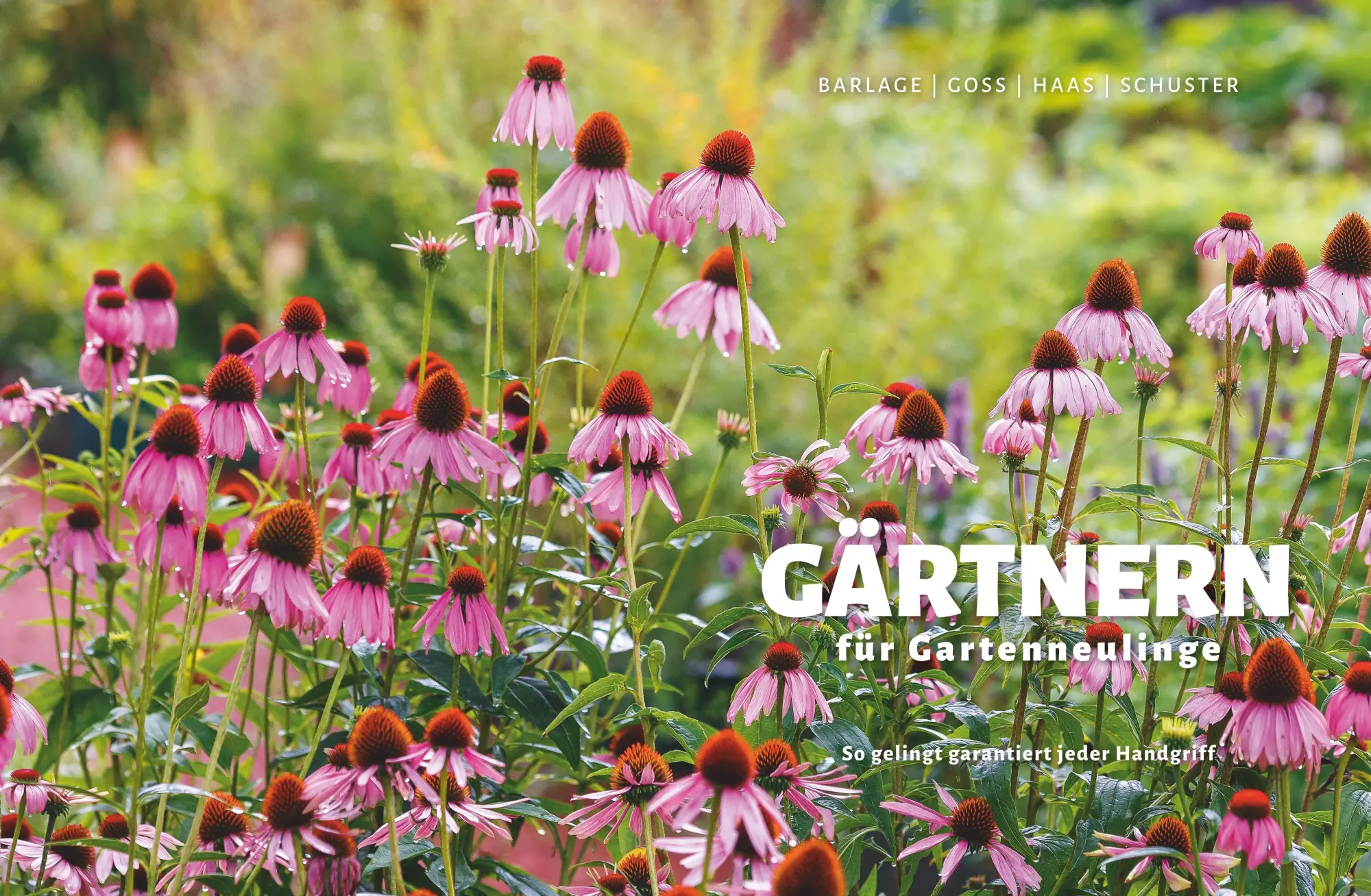 Bild: 9783833882746 | Gärtnern für Gartenneulinge | Thomas Schuster | Buch | GU Garten extra