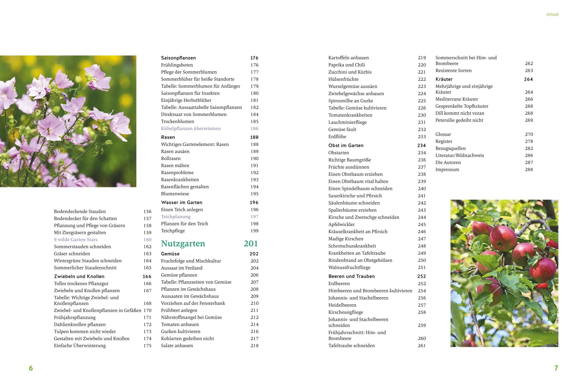 Bild: 9783833882746 | Gärtnern für Gartenneulinge | Thomas Schuster | Buch | GU Garten extra
