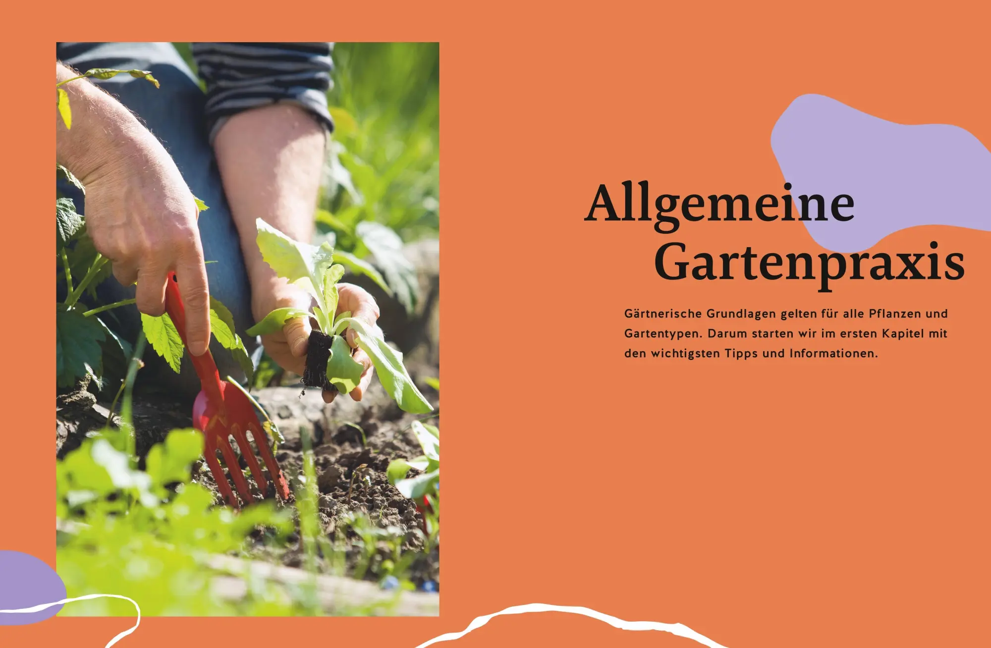 Bild: 9783833882746 | Gärtnern für Gartenneulinge | Thomas Schuster | Buch | GU Garten extra