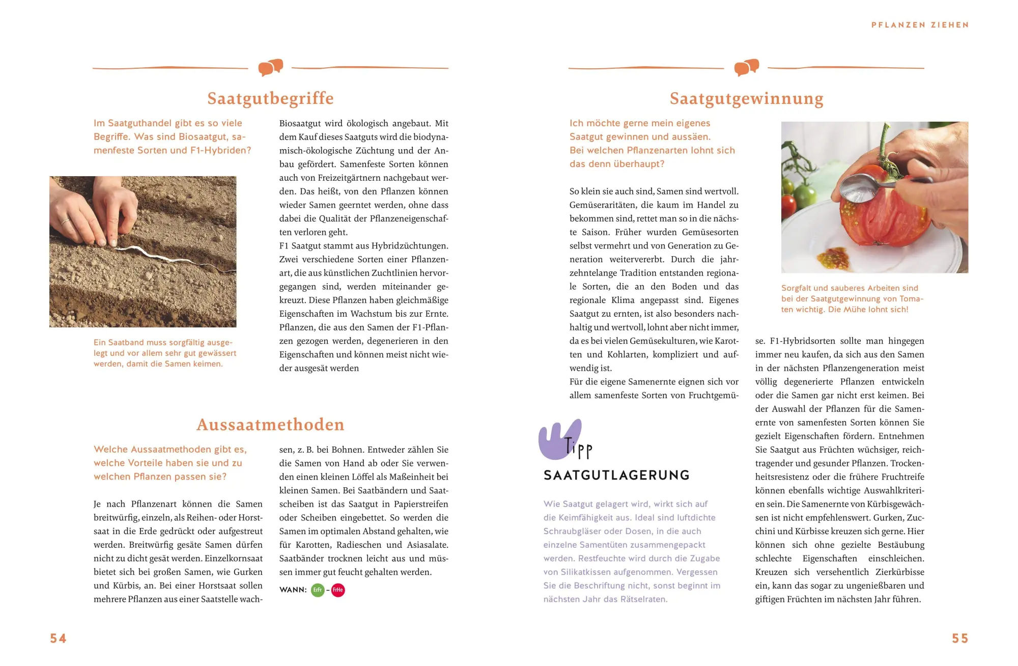 Bild: 9783833882746 | Gärtnern für Gartenneulinge | Thomas Schuster | Buch | GU Garten extra