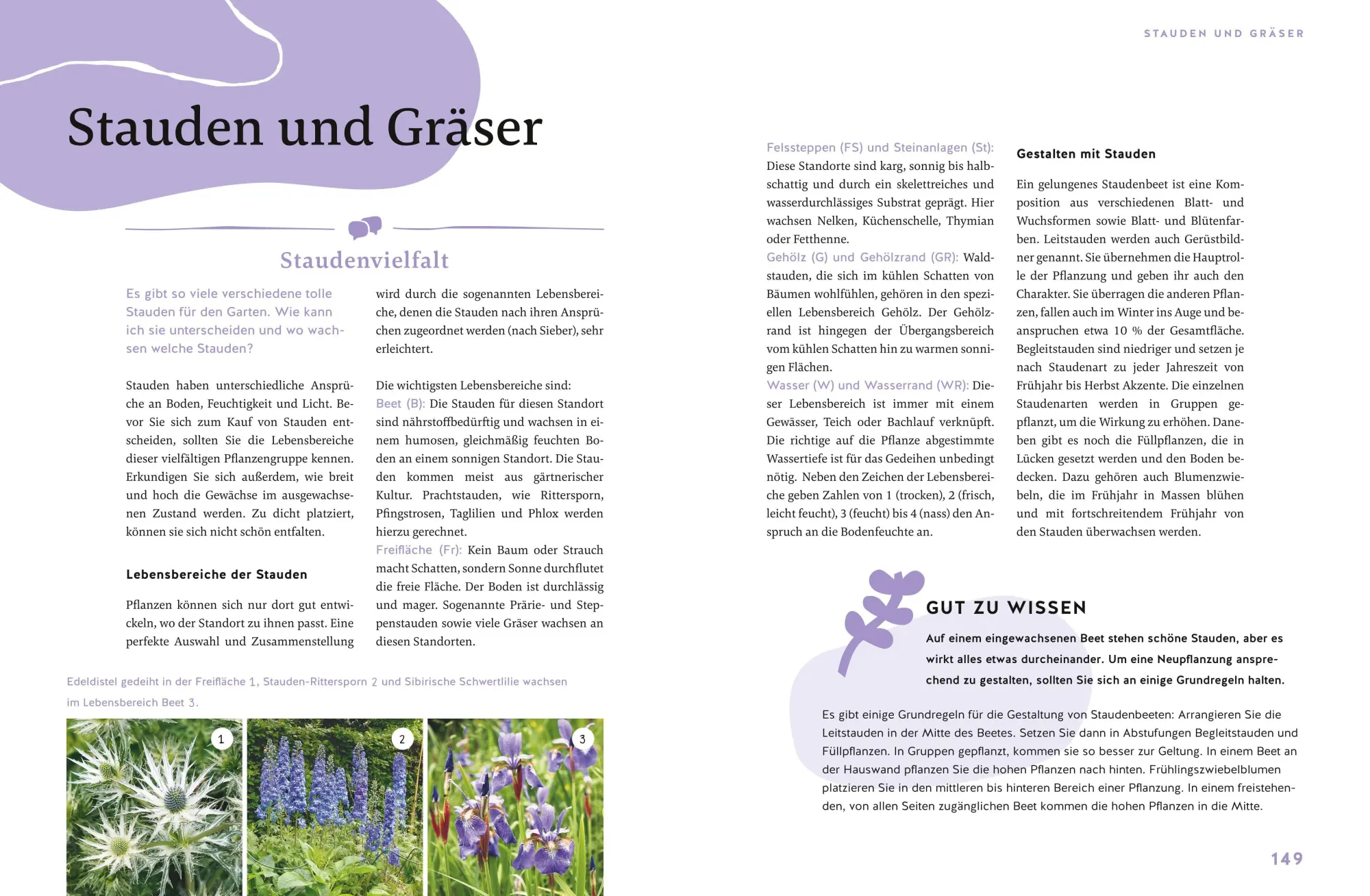 Bild: 9783833882746 | Gärtnern für Gartenneulinge | Thomas Schuster | Buch | GU Garten extra