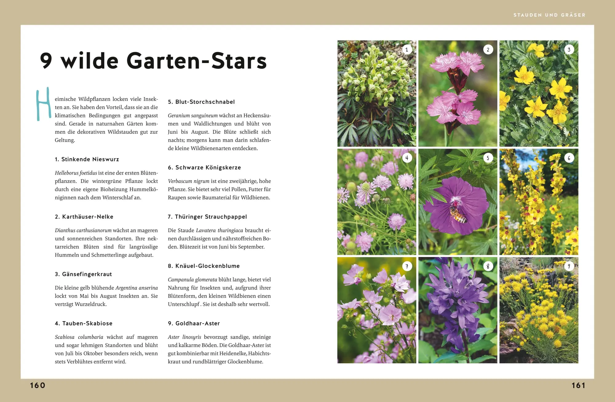 Bild: 9783833882746 | Gärtnern für Gartenneulinge | Thomas Schuster | Buch | GU Garten extra