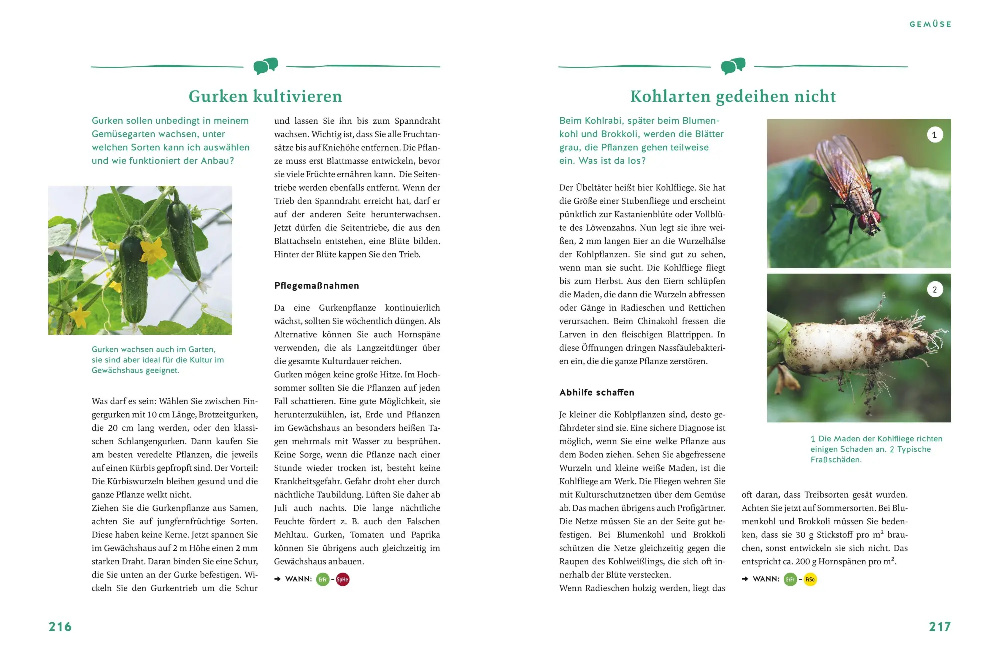 Bild: 9783833882746 | Gärtnern für Gartenneulinge | Thomas Schuster | Buch | GU Garten extra