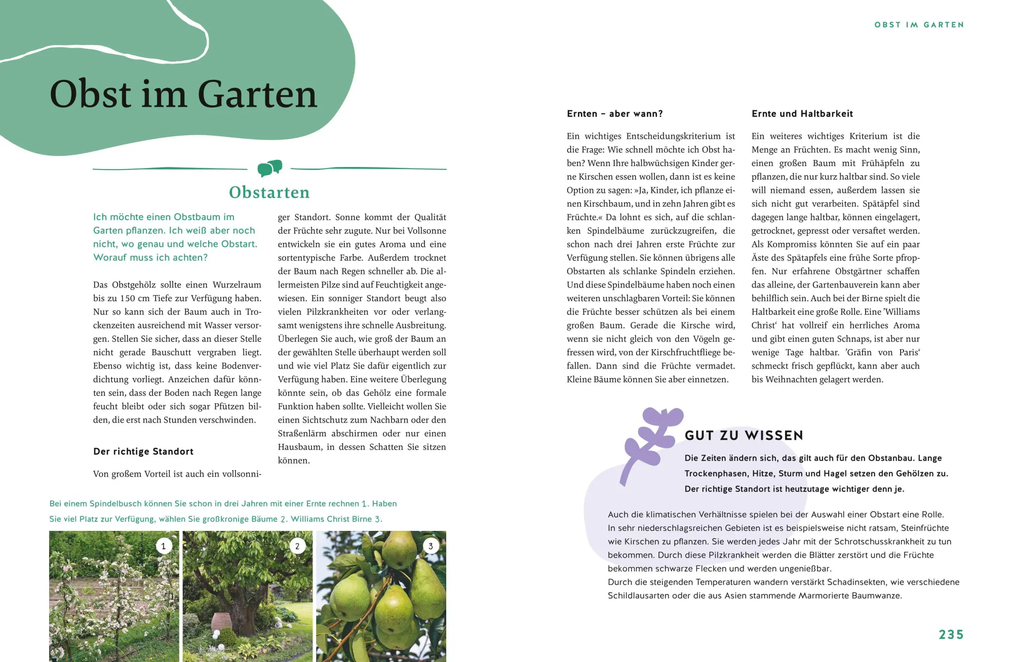 Bild: 9783833882746 | Gärtnern für Gartenneulinge | Thomas Schuster | Buch | GU Garten extra
