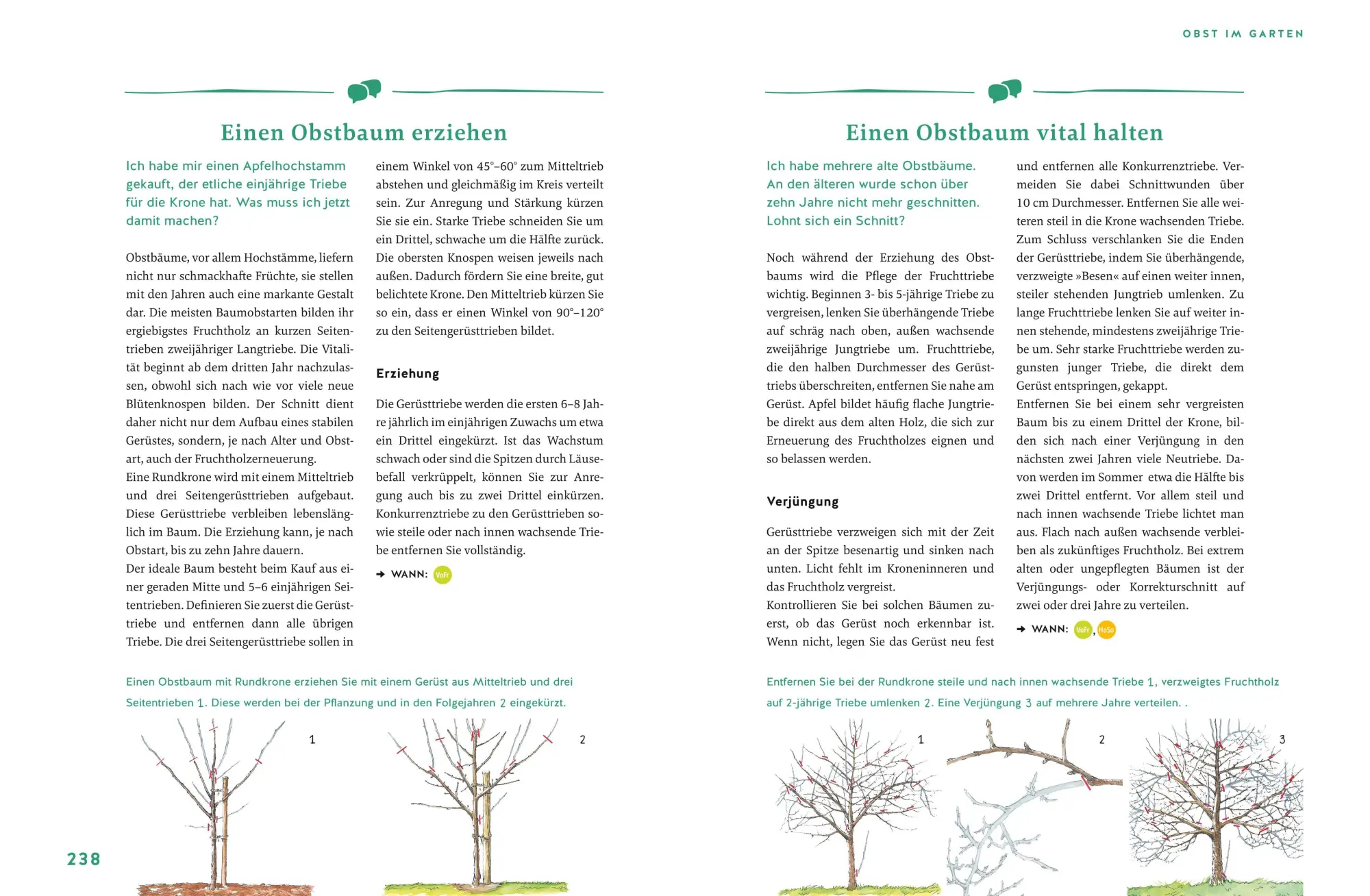Bild: 9783833882746 | Gärtnern für Gartenneulinge | Thomas Schuster | Buch | GU Garten extra