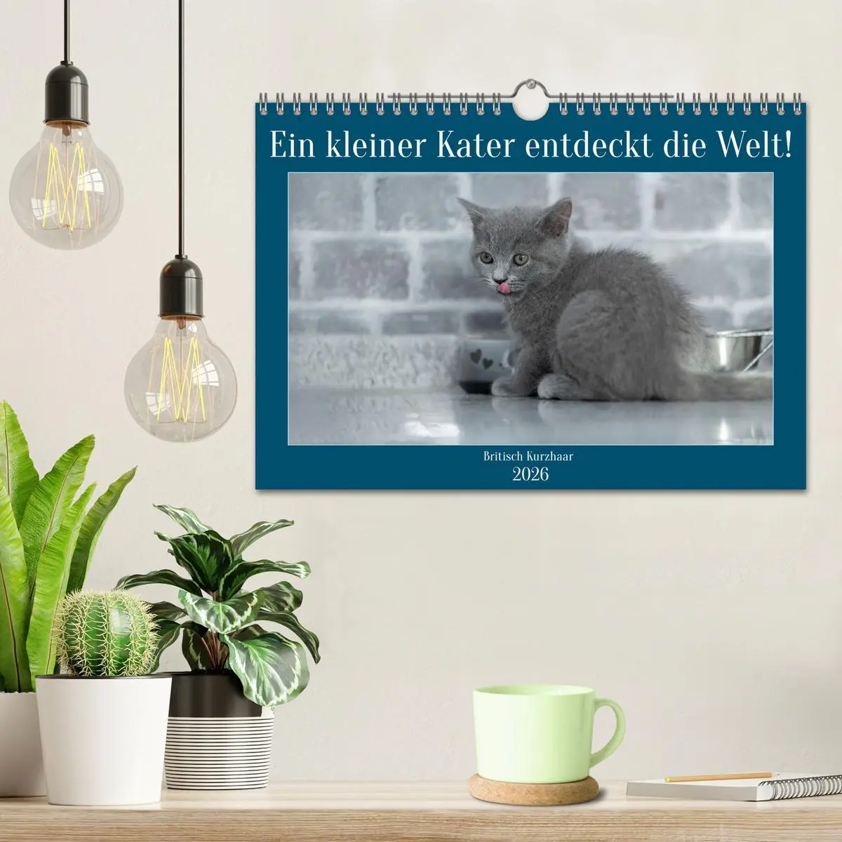 Bild: 9783457362846 | Ein kleiner Kater entdeckt die Welt! (Wandkalender 2026 DIN A4...
