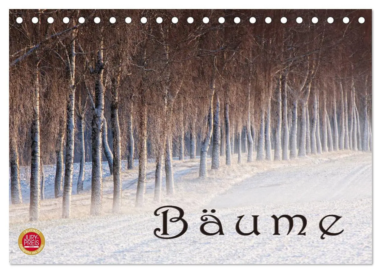 Cover: 9783516142846 | Bäume (Tischkalender 2026 DIN A5 quer), CALVENDO Monatskalender | 2026