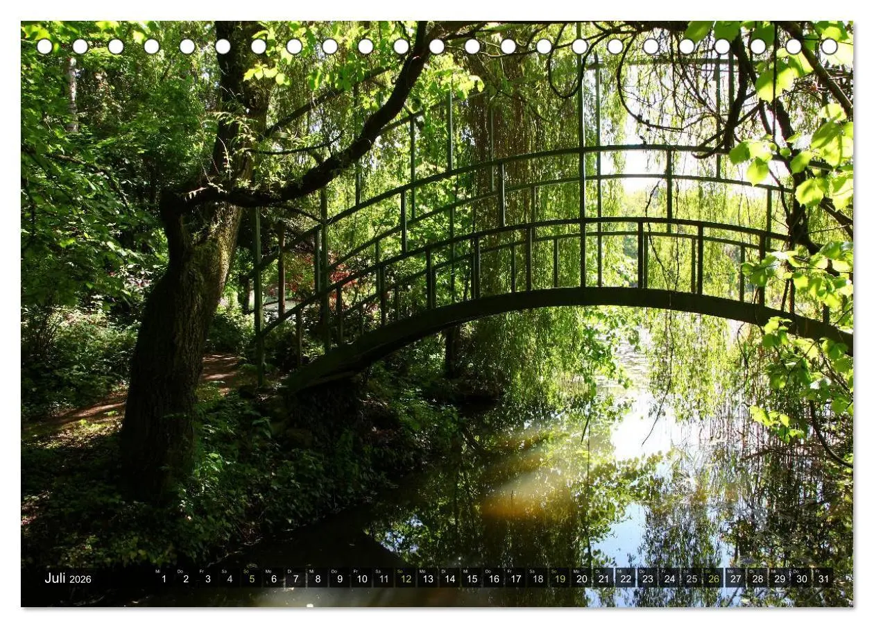 Bild: 9783516142846 | Bäume (Tischkalender 2026 DIN A5 quer), CALVENDO Monatskalender | 2026