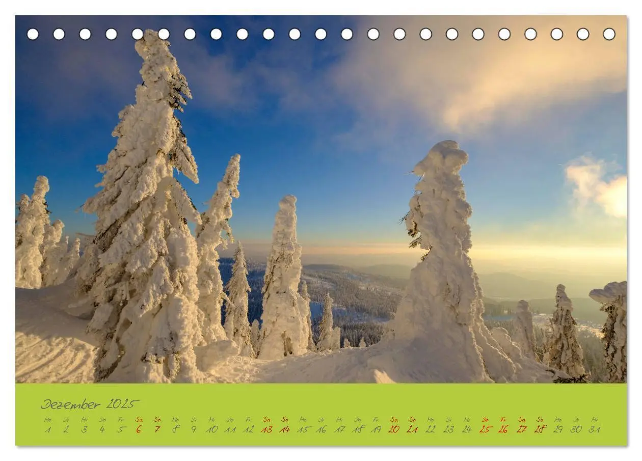 Bild: 9783435192946 | Der Bayerische Wald (Tischkalender 2025 DIN A5 quer), CALVENDO...