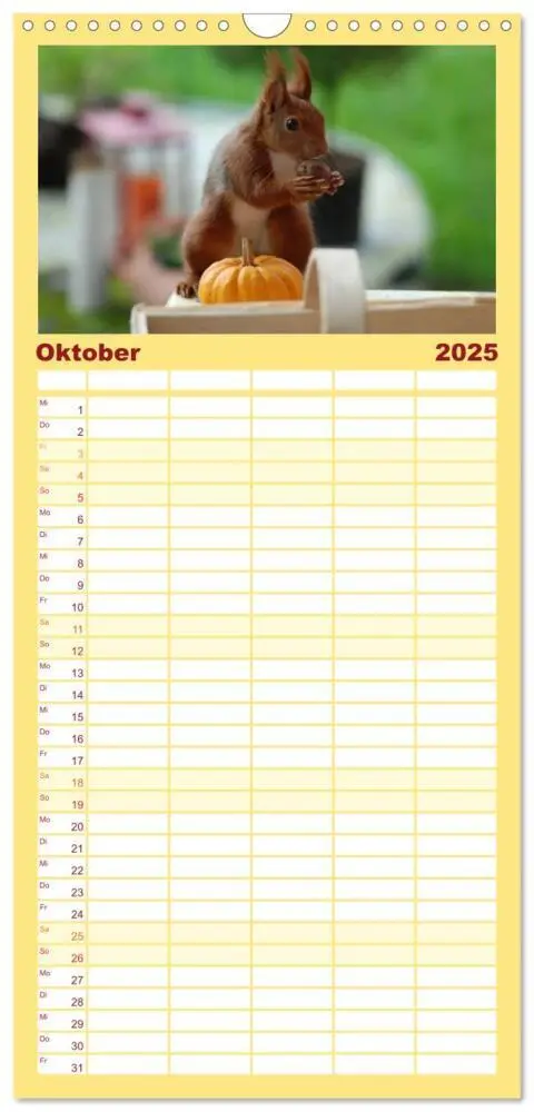 Bild: 9783457112946 | Familienplaner 2025 - Spaß mit Eichhörnchen! mit 5 Spalten...