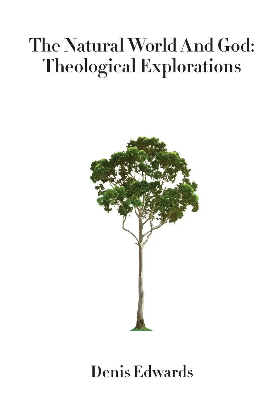 Cover: 9781925643046 | The Natural World and God | Denis Edwards | Taschenbuch | Englisch