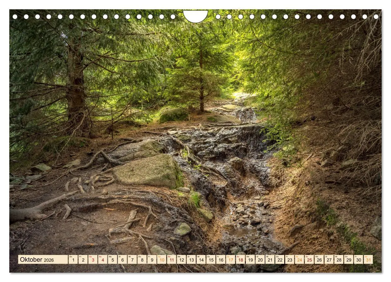 Bild: 9783457623046 | Harz - Urlaub (Wandkalender 2026 DIN A4 quer), CALVENDO Monatskalender