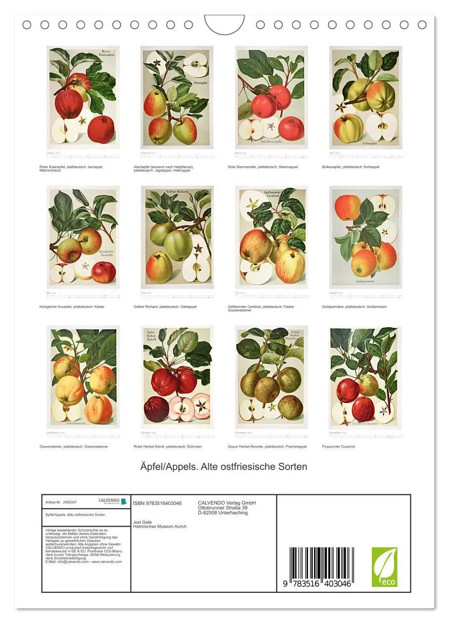 Bild: 9783516403046 | Äpfel/Appels. Alte ostfriesische Sorten (Wandkalender 2026 DIN A4...