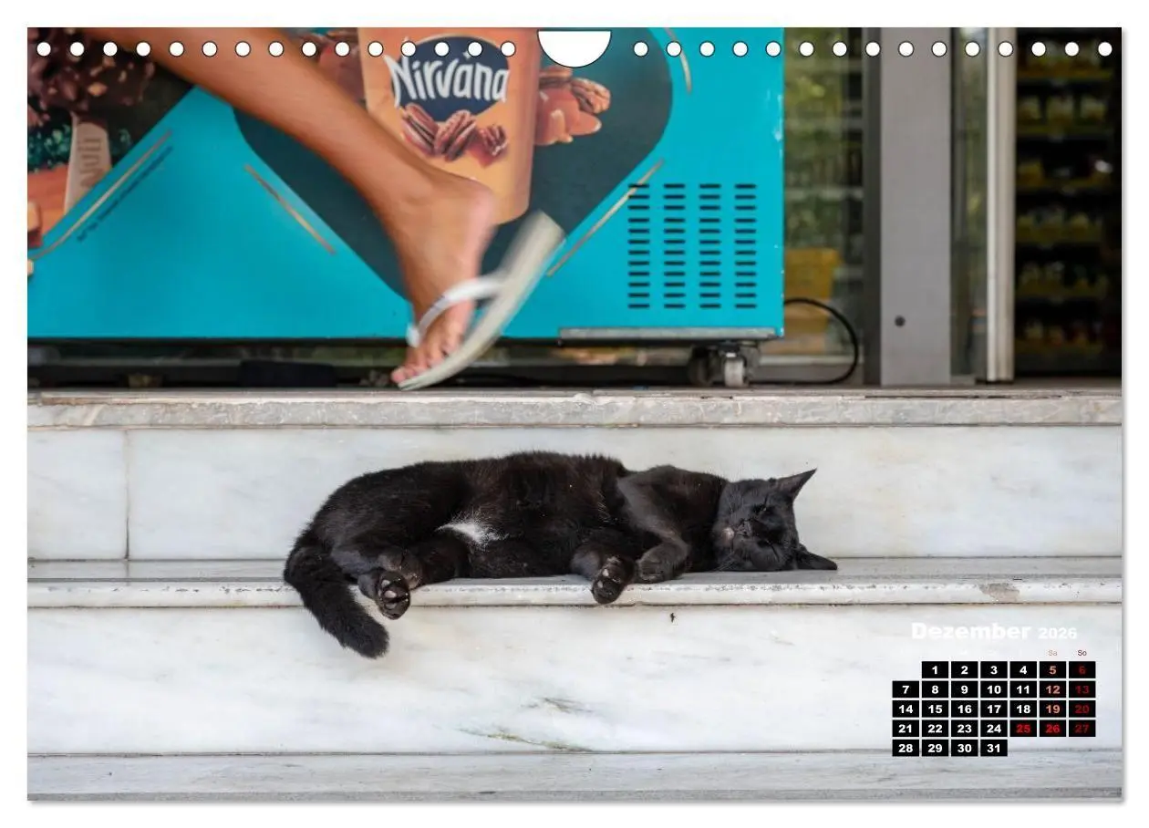 Bild: 9783516713046 | Katzen von Rhodos - Kleine Götter auf vier Pfoten (Wandkalender...