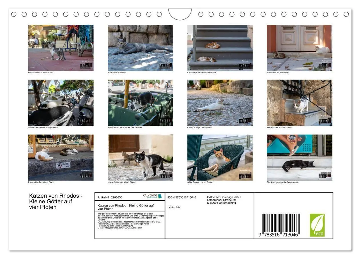 Bild: 9783516713046 | Katzen von Rhodos - Kleine Götter auf vier Pfoten (Wandkalender...