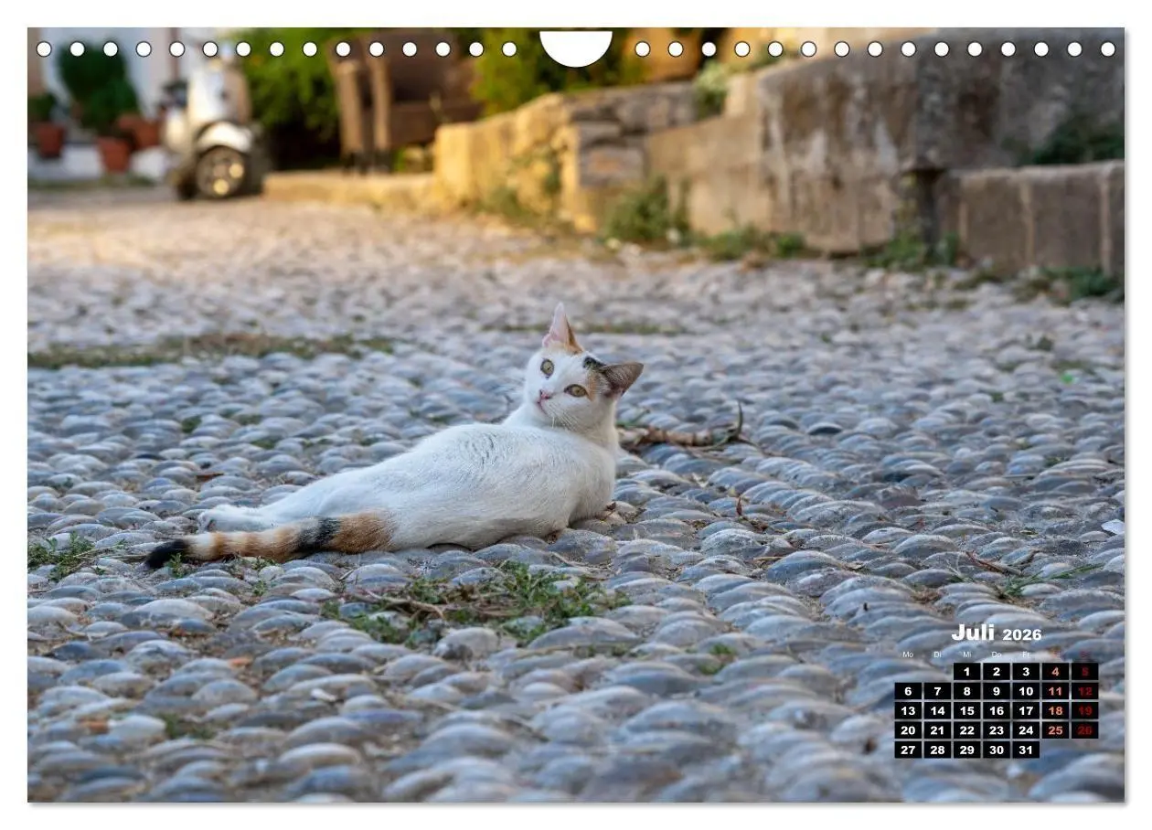 Bild: 9783516713046 | Katzen von Rhodos - Kleine Götter auf vier Pfoten (Wandkalender...