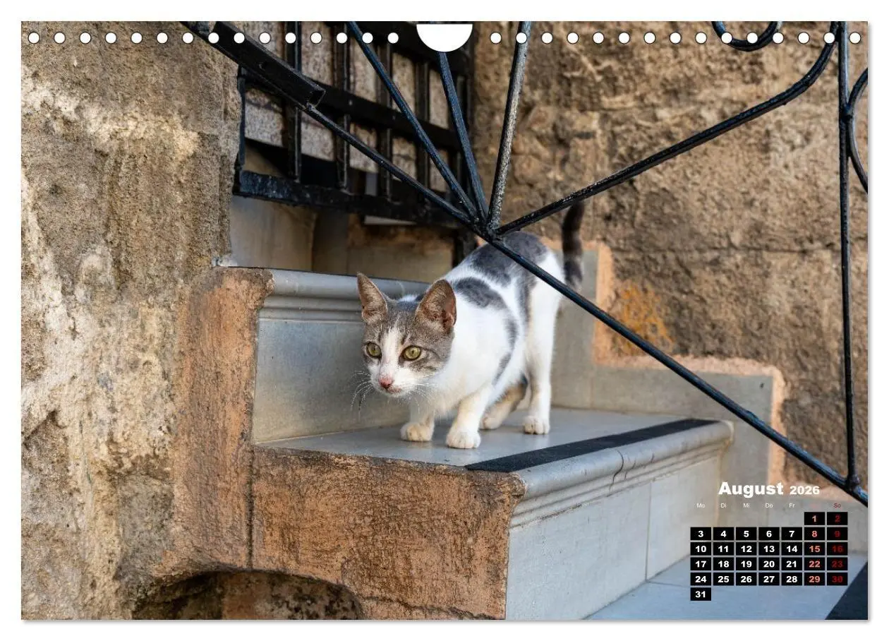 Bild: 9783516713046 | Katzen von Rhodos - Kleine Götter auf vier Pfoten (Wandkalender...