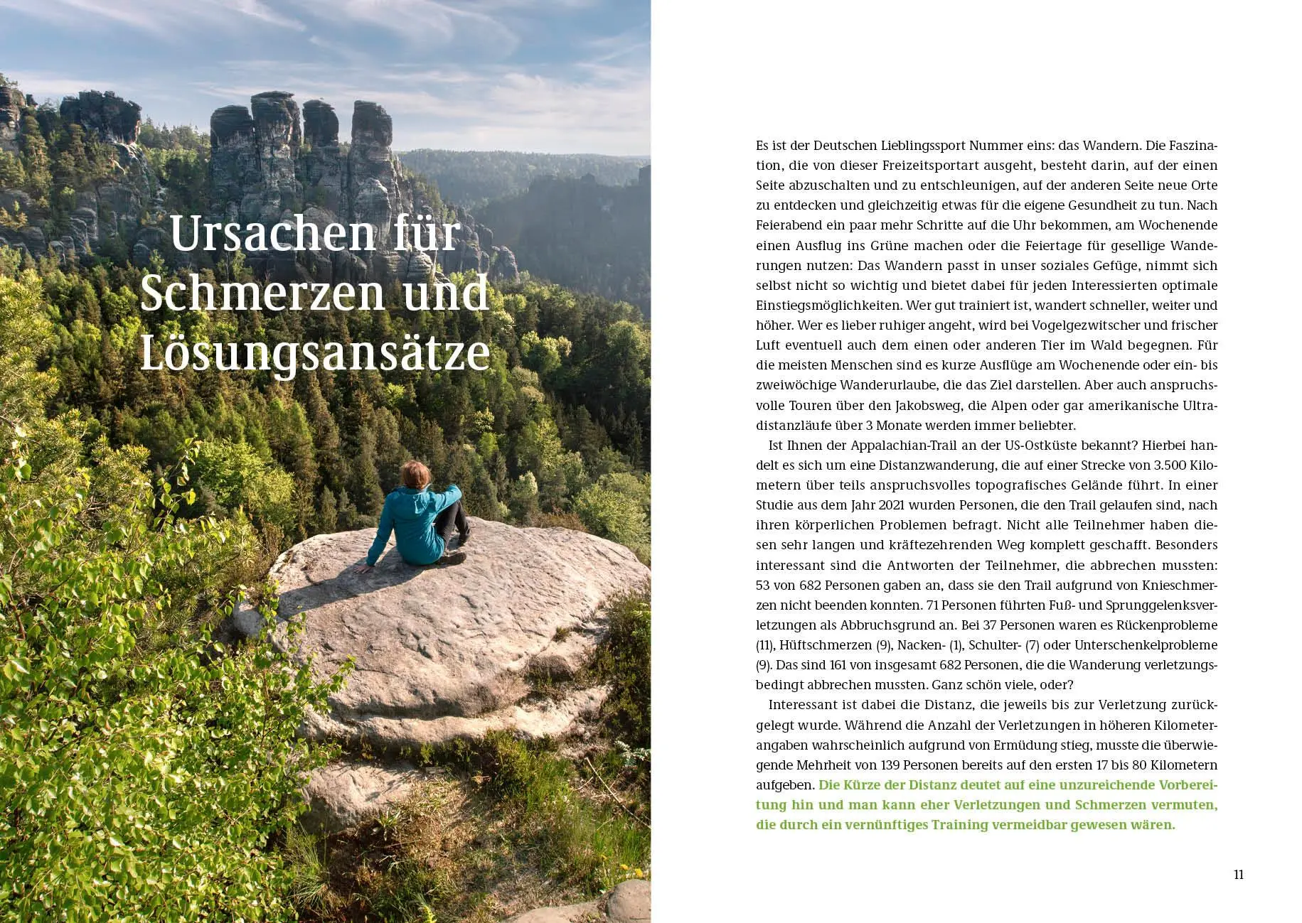 Bild: 9783954533046 | Endlich wieder schmerzfrei wandern | Marwin Isenberg | Taschenbuch